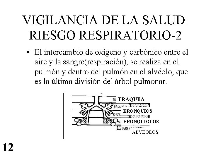 VIGILANCIA DE LA SALUD: RIESGO RESPIRATORIO-2 • El intercambio de oxígeno y carbónico entre