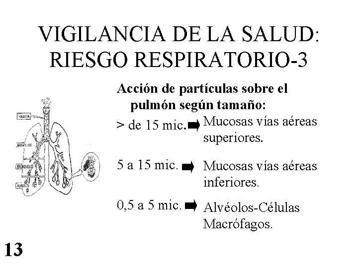 VIGILANCIA DE LA SALUD: RIESGO RESPIRATORIO-3 Acción de partículas sobre el pulmón según tamaño: