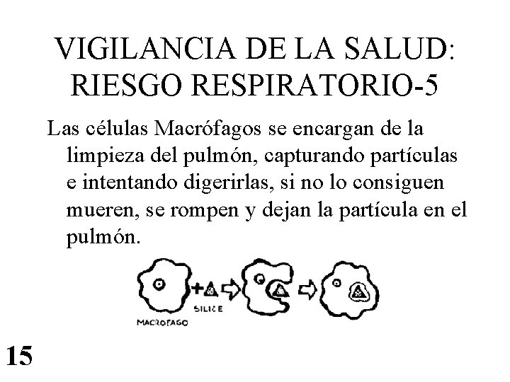 VIGILANCIA DE LA SALUD: RIESGO RESPIRATORIO-5 Las células Macrófagos se encargan de la limpieza