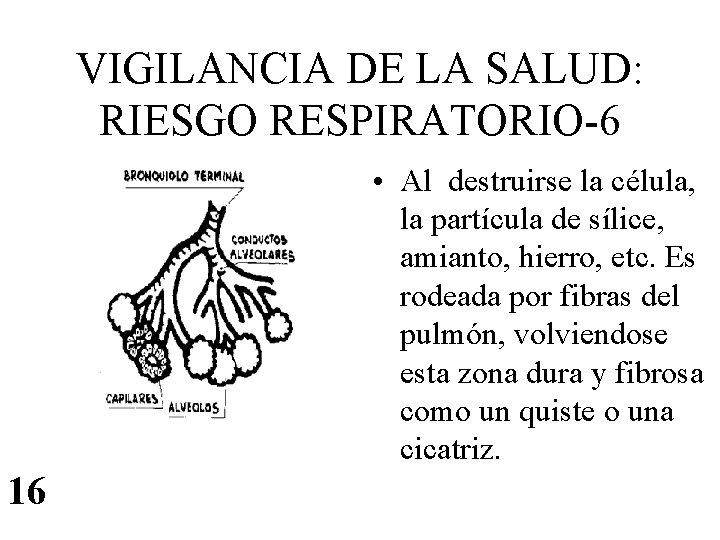 VIGILANCIA DE LA SALUD: RIESGO RESPIRATORIO-6 • Al destruirse la célula, la partícula de