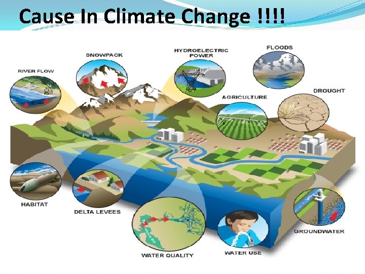 Cause In Climate Change !!!! 