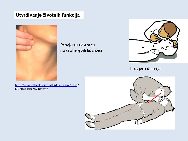 Utvrđivanje životnih funkcija Provjera rada srca na vratnoj žili kucavici Provjera disanja http: //www.