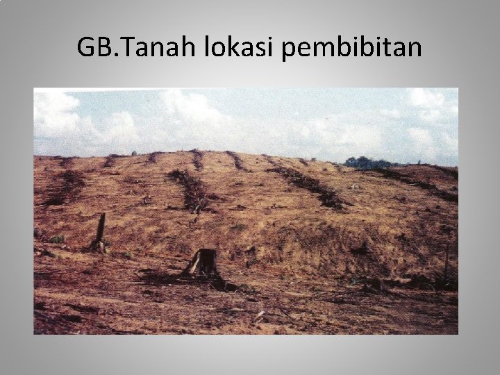 GB. Tanah lokasi pembibitan 