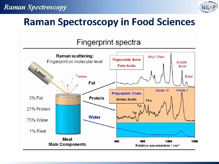 Raman Spectroscopy in Food Sciences 