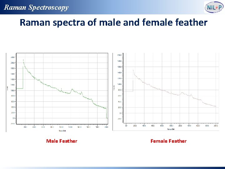 Raman Spectroscopy Raman spectra of male and female feather Male Feather Female Feather 