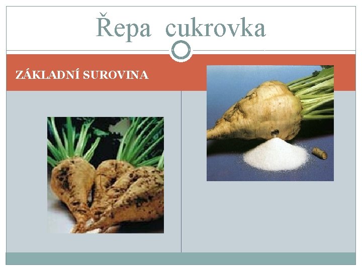 Řepa cukrovka ZÁKLADNÍ SUROVINA 