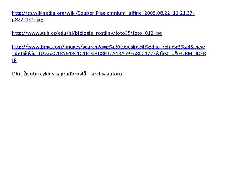 http: //cs. wikipedia. org/wiki/Soubor: Plagiomnium_affine_2005. 08. 22_11. 21. 37 p 8220145. jpg http: //www.