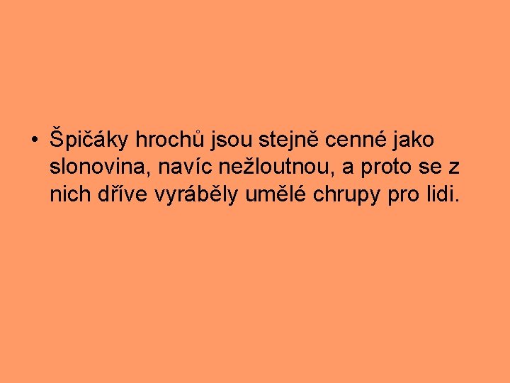  • Špičáky hrochů jsou stejně cenné jako slonovina, navíc nežloutnou, a proto se