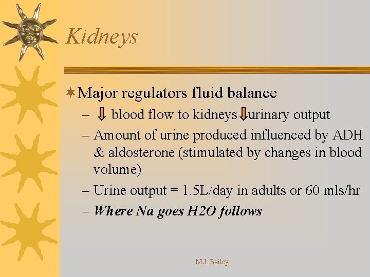 Kidneys ¬Major regulators fluid balance – blood flow to kidneys urinary output – Amount
