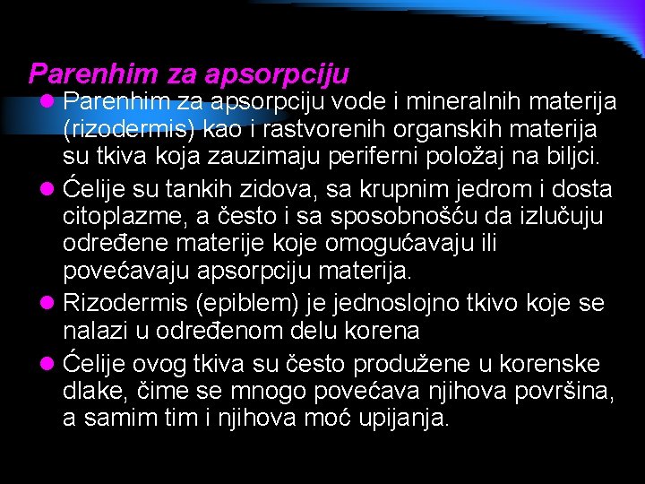 Parenhim za apsorpciju l Parenhim za apsorpciju vode i mineralnih materija (rizodermis) kao i