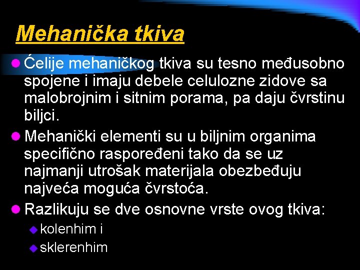 Mehanička tkiva l Ćelije mehaničkog tkiva su tesno međusobno spojene i imaju debele celulozne