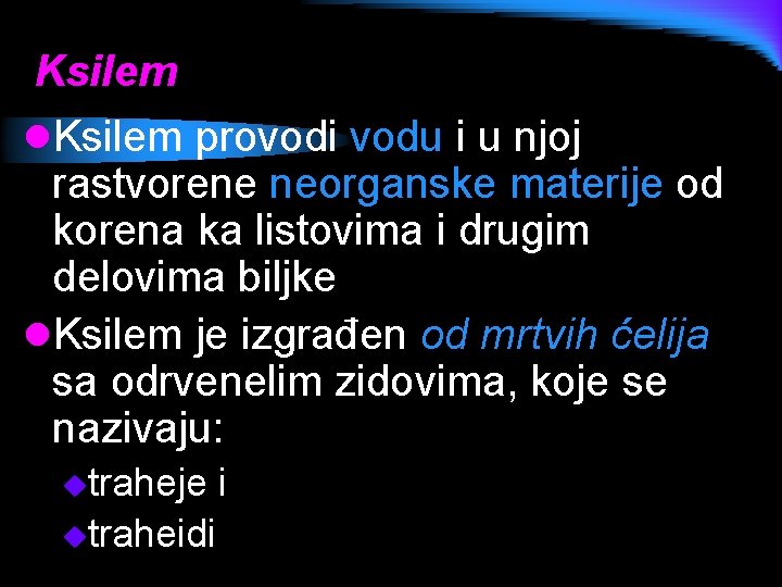 Ksilem l. Ksilem provodi vodu i u njoj rastvorene neorganske materije od korena ka