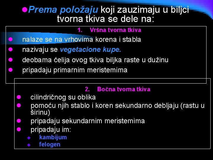 l. Prema položaju koji zauzimaju u biljci tvorna tkiva se dele na: 1. Vršna