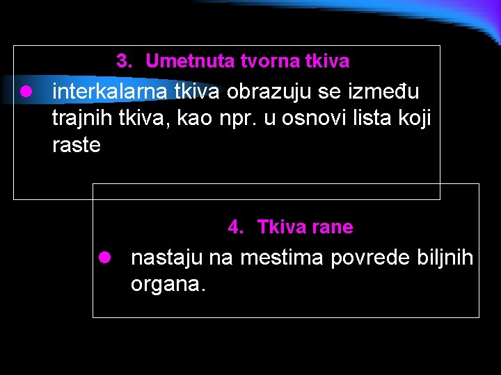 3. Umetnuta tvorna tkiva l interkalarna tkiva obrazuju se između trajnih tkiva, kao npr.