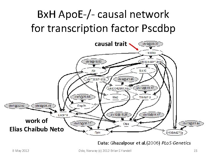 Bx. H Apo. E-/- causal network for transcription factor Pscdbp causal trait work of