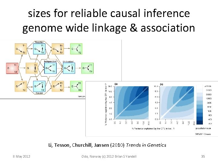 sizes for reliable causal inference genome wide linkage & association Li, Tesson, Churchill, Jansen