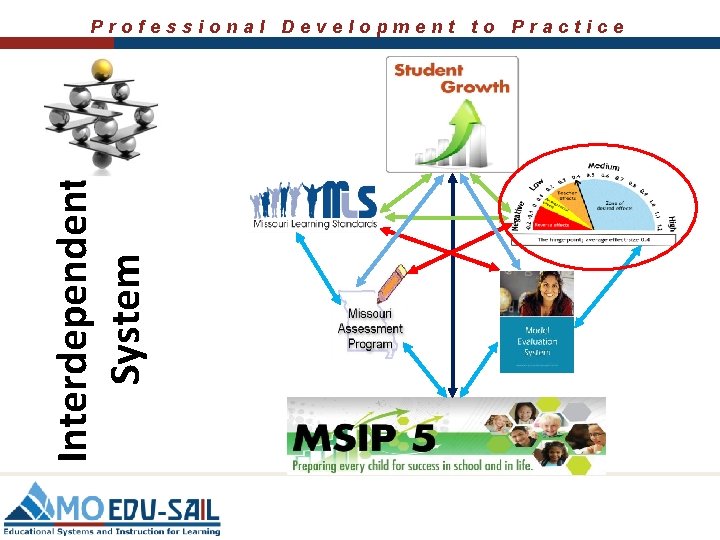 Interdependent System Professional Development to Practice 