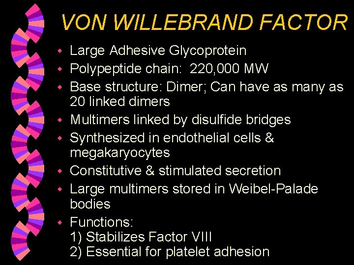 VON WILLEBRAND FACTOR w w w w Large Adhesive Glycoprotein Polypeptide chain: 220, 000