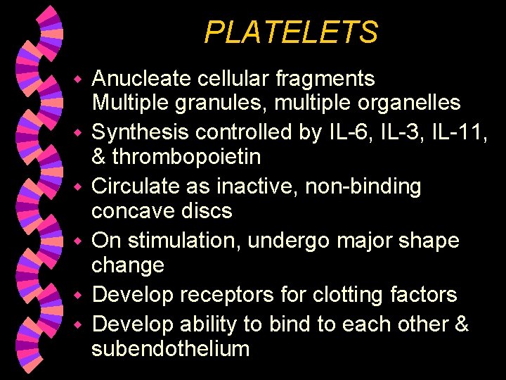 PLATELETS w w w Anucleate cellular fragments Multiple granules, multiple organelles Synthesis controlled by