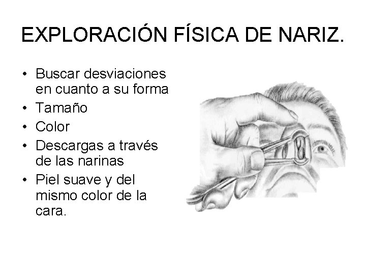 EXPLORACIÓN FÍSICA DE NARIZ. • Buscar desviaciones en cuanto a su forma • Tamaño