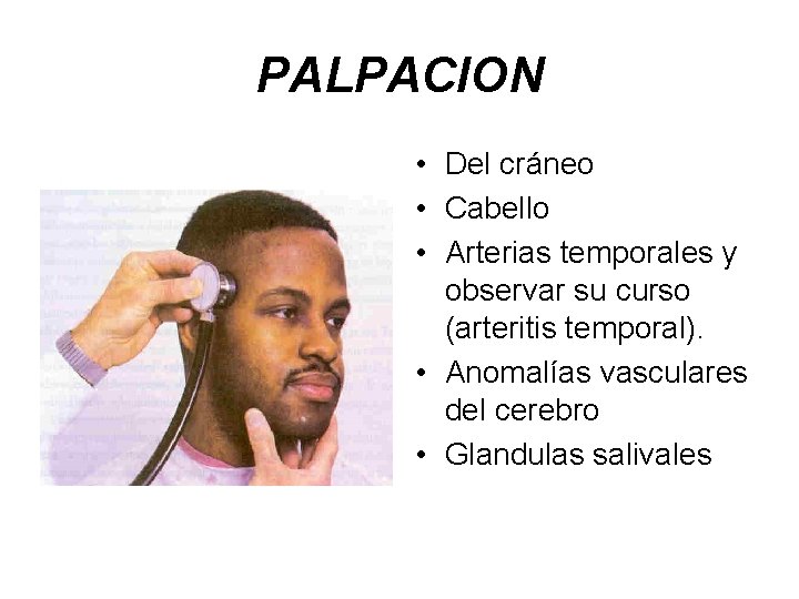 PALPACION • Del cráneo • Cabello • Arterias temporales y observar su curso (arteritis
