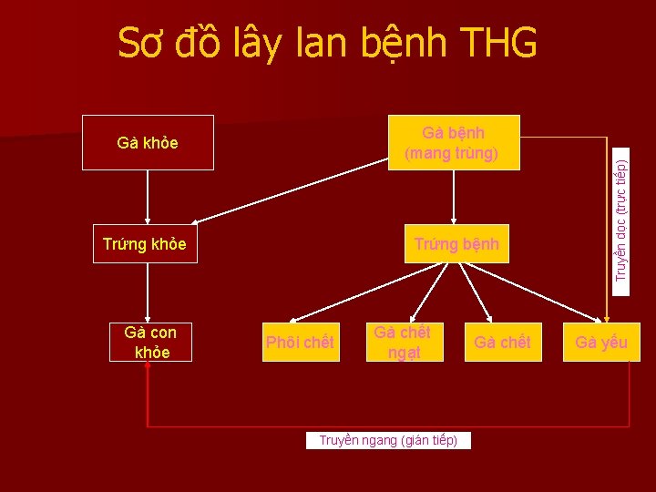 Gà bệnh (mang trùng) Gà khỏe Trứng khỏe Gà con khỏe Trứng bệnh Phôi