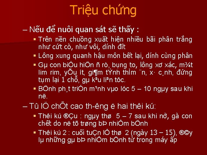 Triệu chứng – Nếu để nuôi quan sát sẽ thấy : § Trên nền