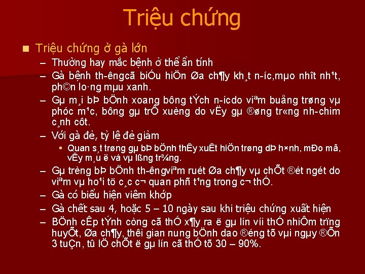 Triệu chứng n Triệu chứng ở gà lớn – Thường hay mắc bệnh ở