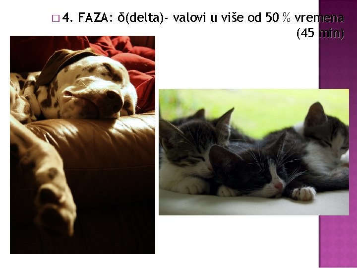 � 4. FAZA: δ(delta)- valovi u više od 50 % vremena (45 min) 