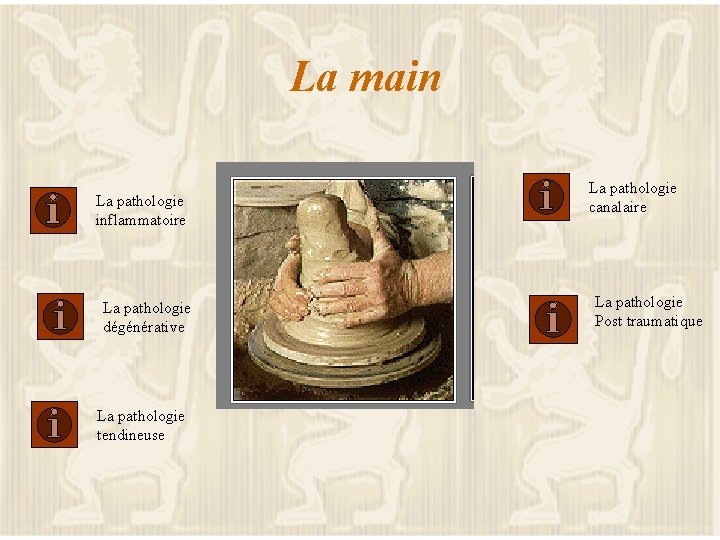 La main La pathologie inflammatoire La pathologie dégénérative La pathologie tendineuse La pathologie canalaire