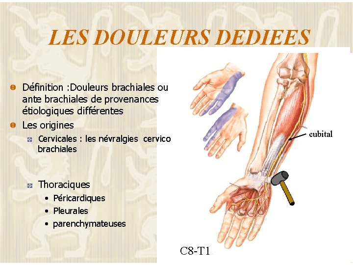 LES DOULEURS DEDIEES Radial Définition : Douleurs brachiales ou ante brachiales de provenances étiologiques