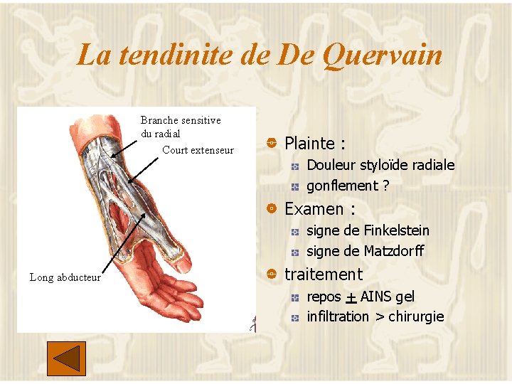 La tendinite de De Quervain Branche sensitive du radial Court extenseur Plainte : Douleur