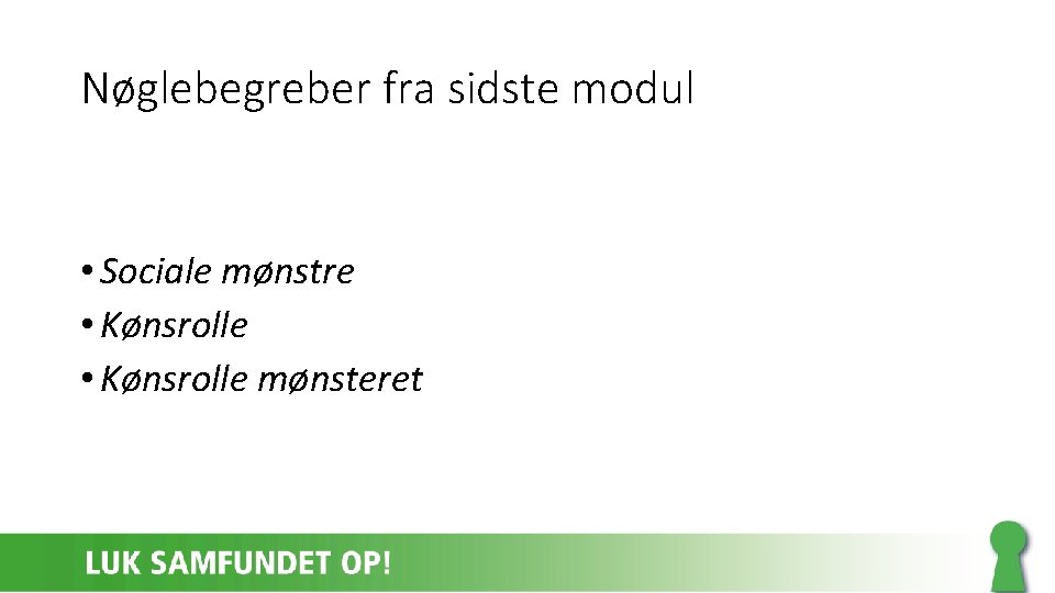 Nøglebegreber fra sidste modul • Sociale mønstre • Kønsrolle mønsteret 