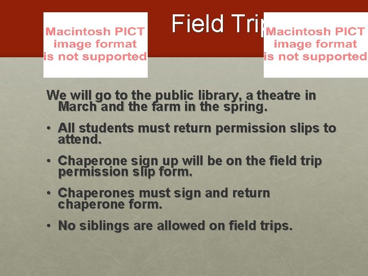 Field Trips We will go to the public library, a theatre in March and