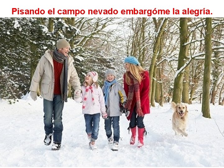 Pisando el campo nevado embargóme la alegría. 