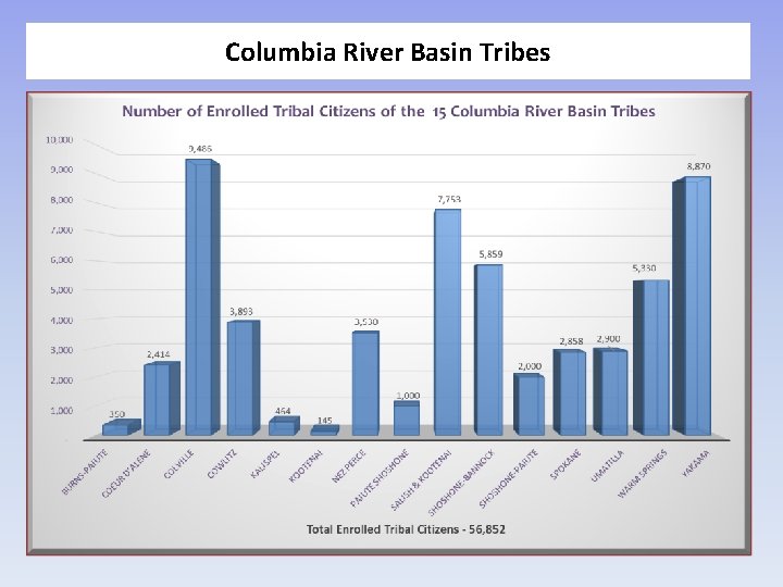 Columbia River Basin Tribes 