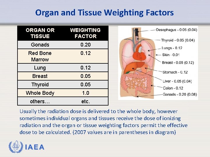 Organ and Tissue Weighting Factors ORGAN OR TISSUE WEIGHTING FACTOR Gonads 0. 20 Red