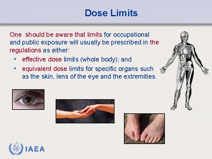 Dose Limits One should be aware that limits for occupational and public exposure will