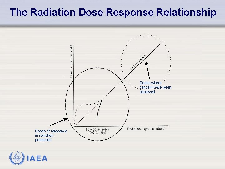 The Radiation Dose Response Relationship Doses where cancers have been observed Doses of relevance