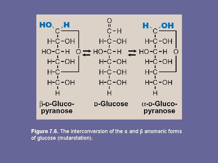 Figure 7. 6. The interconversion of the α and β anomeric forms of glucose