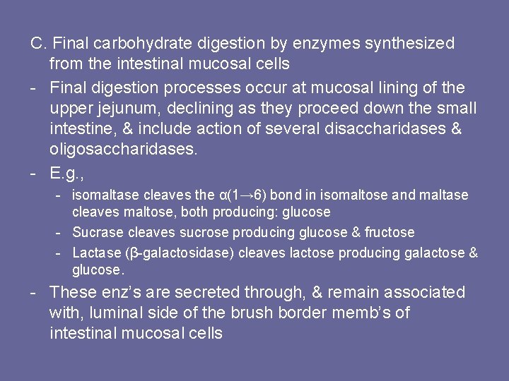 C. Final carbohydrate digestion by enzymes synthesized from the intestinal mucosal cells - Final