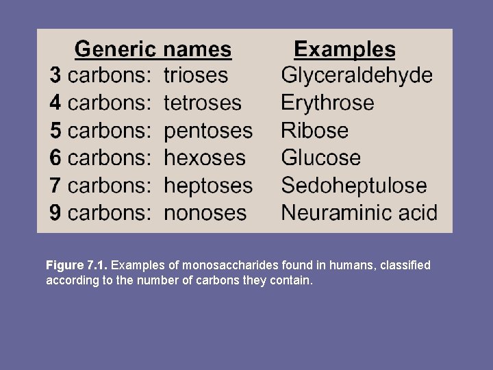Figure 7. 1. Examples of monosaccharides found in humans, classified according to the number