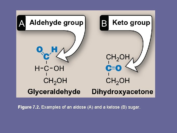 Figure 7. 2. Examples of an aldose (A) and a ketose (B) sugar. 