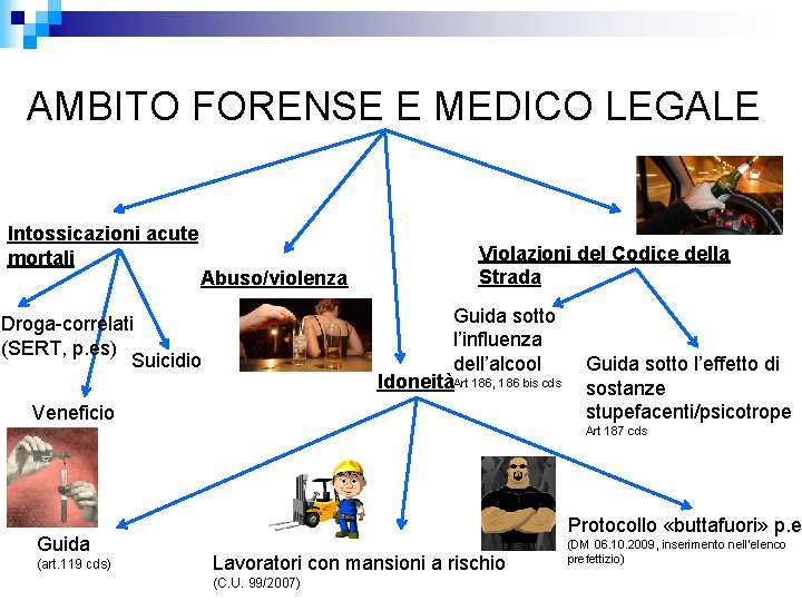 AMBITO FORENSE E MEDICO LEGALE Intossicazioni acute mortali Abuso/violenza Violazioni del Codice della Strada