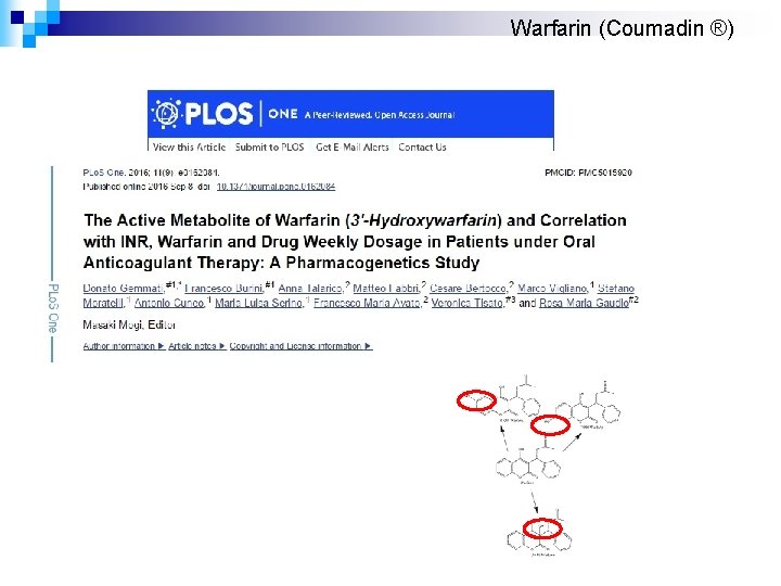 Warfarin (Coumadin ®) 