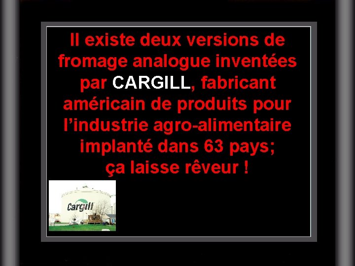 Il existe deux versions de fromage analogue inventées par CARGILL, fabricant américain de produits