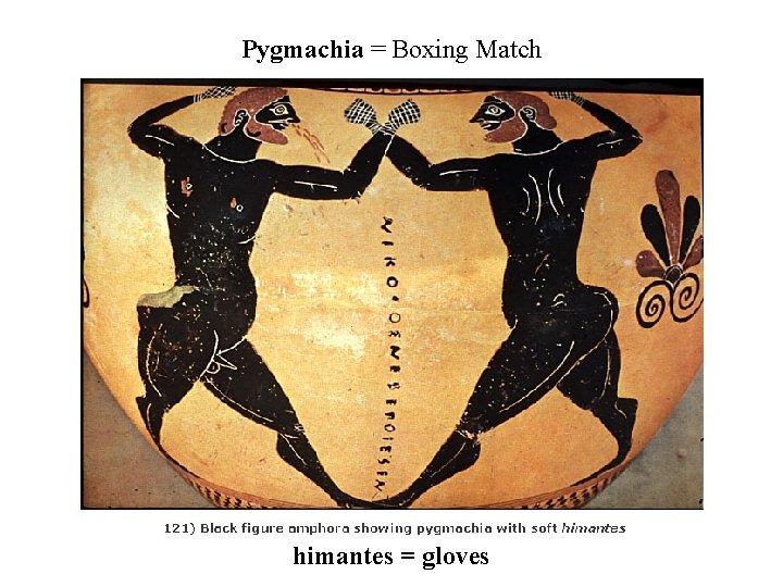 Pygmachia = Boxing Match himantes = gloves 