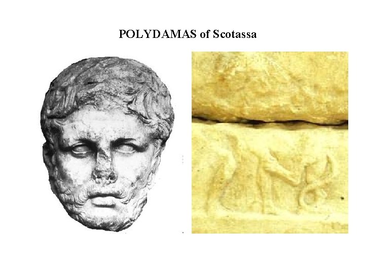 POLYDAMAS of Scotassa 