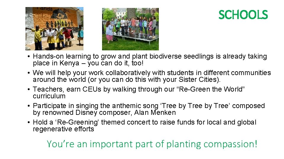 SCHOOLS • Hands-on learning to grow and plant biodiverse seedlings is already taking place