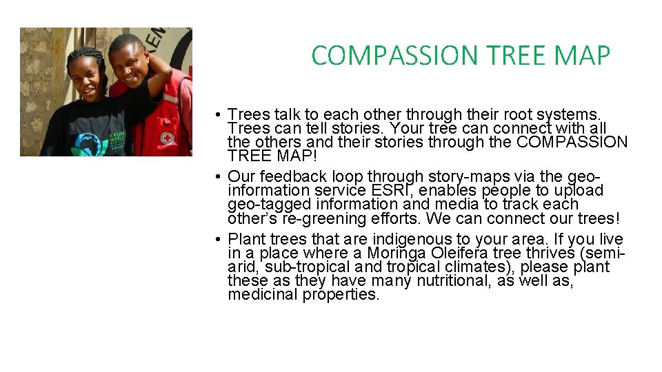 COMPASSION TREE MAP • Trees talk to each other through their root systems. Trees